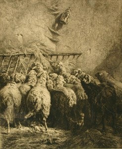 Image description is not available for DU1945.23